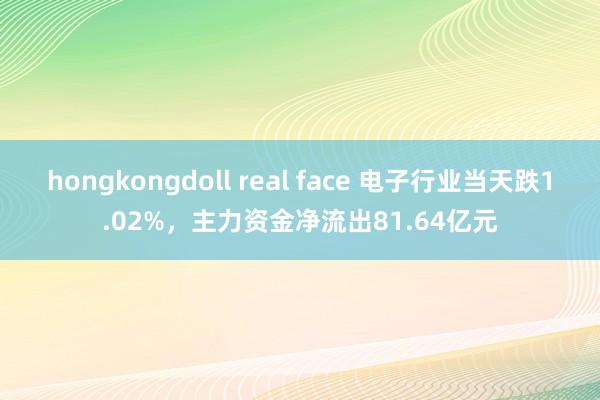 hongkongdoll real face 电子行业当天跌1.02%，主力资金净流出81.64亿元