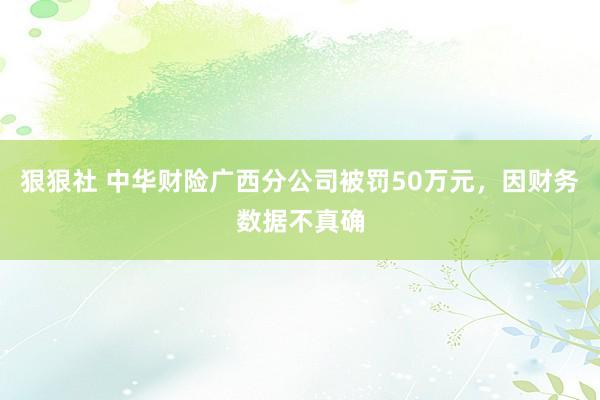 狠狠社 中华财险广西分公司被罚50万元，因财务数据不真确