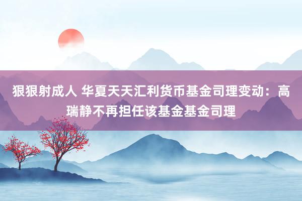 狠狠射成人 华夏天天汇利货币基金司理变动：高瑞静不再担任该基金基金司理