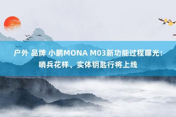 户外 品牌 小鹏MONA M03新功能过程曝光：哨兵花样、实体钥匙行将上线