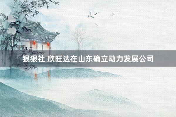 狠狠社 欣旺达在山东确立动力发展公司