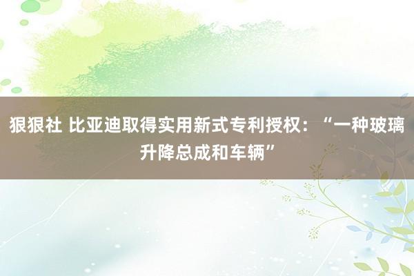 狠狠社 比亚迪取得实用新式专利授权：“一种玻璃升降总成和车辆”