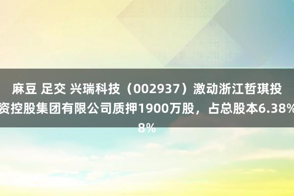 麻豆 足交 兴瑞科技（002937）激动浙江哲琪投资控股集团有限公司质押1900万股，占总股本6.38%