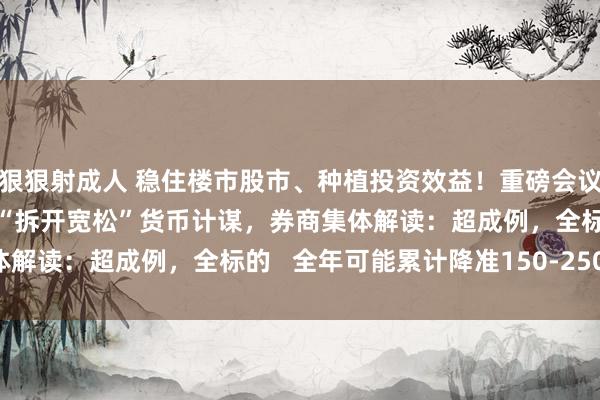 狠狠射成人 稳住楼市股市、种植投资效益！重磅会议终于落地，14年来再提“拆开宽松”货币计谋，券商集体解读：超成例，全标的   全年可能累计降准150-250BP