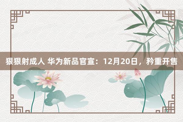 狠狠射成人 华为新品官宣：12月20日，矜重开售