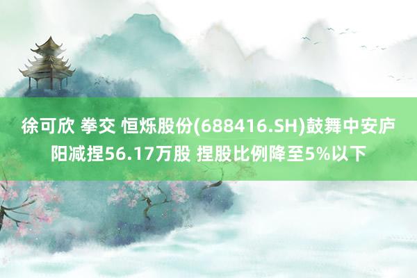 徐可欣 拳交 恒烁股份(688416.SH)鼓舞中安庐阳减捏56.17万股 捏股比例降至5%以下