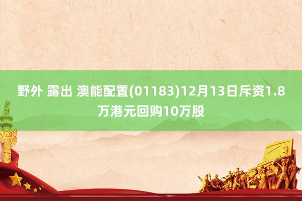 野外 露出 澳能配置(01183)12月13日斥资1.8万港元回购10万股