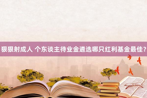 狠狠射成人 个东谈主待业金遴选哪只红利基金最佳？