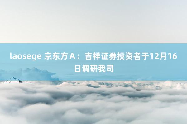 laosege 京东方Ａ：吉祥证券投资者于12月16日调研我司