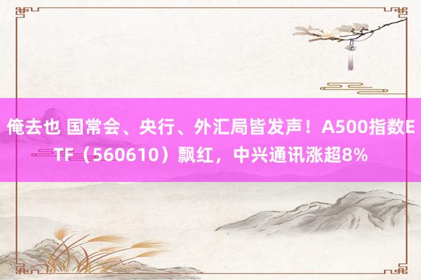 俺去也 国常会、央行、外汇局皆发声！A500指数ETF（560610）飘红，中兴通讯涨超8%