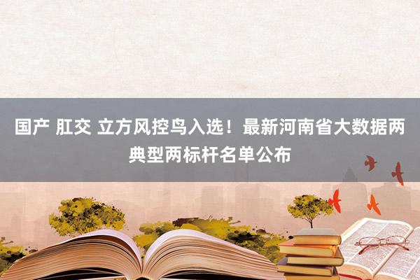 国产 肛交 立方风控鸟入选！最新河南省大数据两典型两标杆名单公布