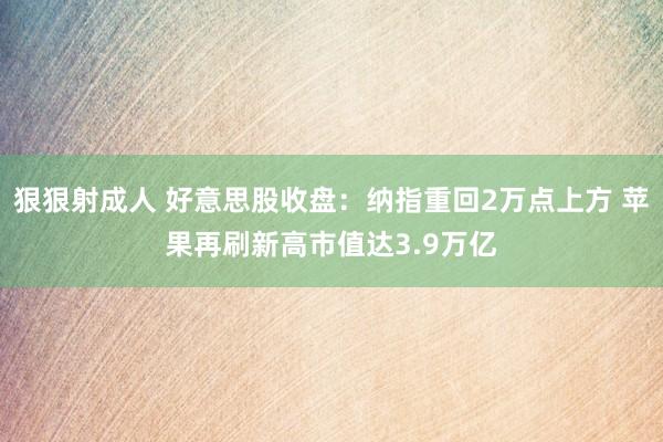 狠狠射成人 好意思股收盘：纳指重回2万点上方 苹果再刷新高市值达3.9万亿