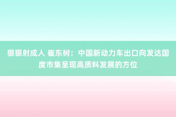 狠狠射成人 崔东树：中国新动力车出口向发达国度市集呈现高质料发展的方位