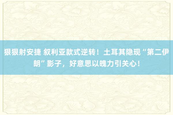 狠狠射安捷 叙利亚款式逆转！土耳其隐现“第二伊朗”影子，好意思以魄力引关心！