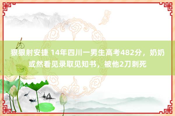 狠狠射安捷 14年四川一男生高考482分，奶奶或然看见录取见知书，被他2刀刺死