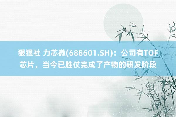 狠狠社 力芯微(688601.SH)：公司有TOF芯片，当今已胜仗完成了产物的研发阶段