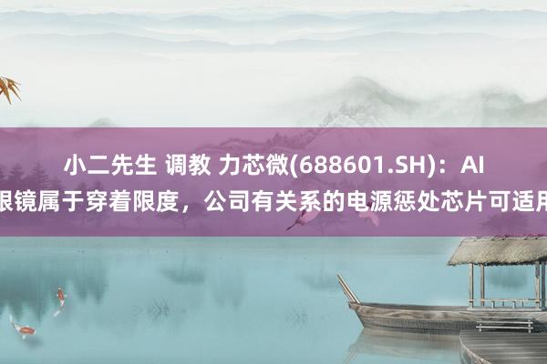 小二先生 调教 力芯微(688601.SH)：AI眼镜属于穿着限度，公司有关系的电源惩处芯片可适用