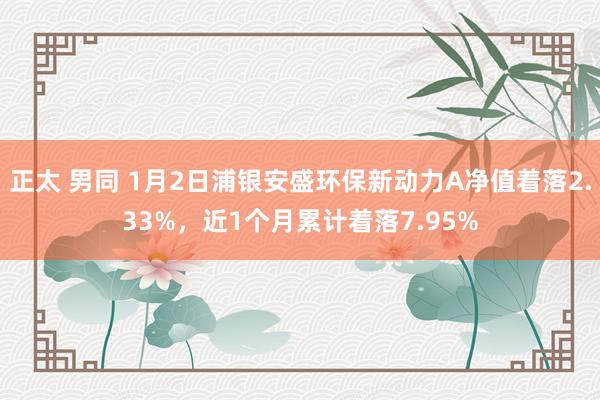 正太 男同 1月2日浦银安盛环保新动力A净值着落2.33%，近1个月累计着落7.95%