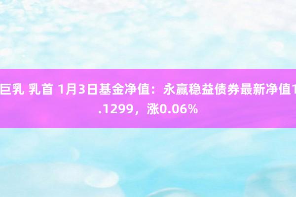 巨乳 乳首 1月3日基金净值：永赢稳益债券最新净值1.1299，涨0.06%