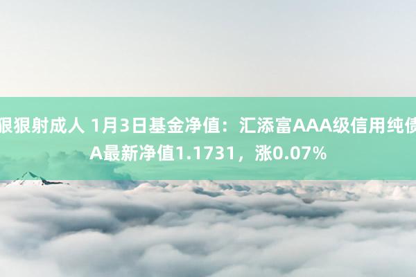 狠狠射成人 1月3日基金净值：汇添富AAA级信用纯债A最新净值1.1731，涨0.07%