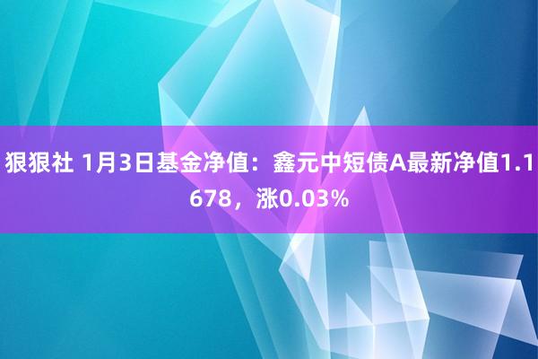 狠狠社 1月3日基金净值：鑫元中短债A最新净值1.1678，涨0.03%