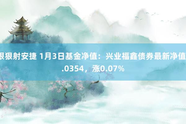 狠狠射安捷 1月3日基金净值：兴业福鑫债券最新净值1.0354，涨0.07%