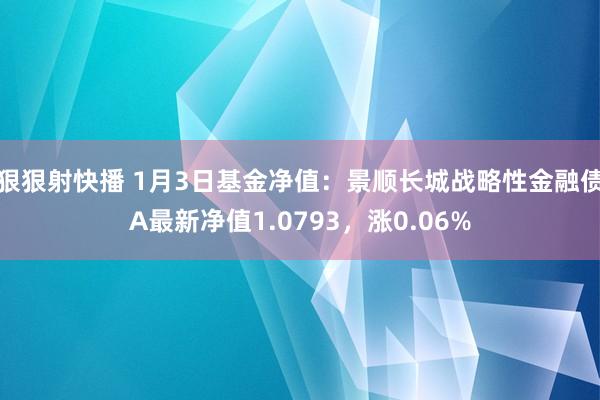 狠狠射快播 1月3日基金净值：景顺长城战略性金融债A最新净值1.0793，涨0.06%