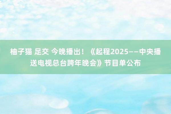 柚子猫 足交 今晚播出！《起程2025——中央播送电视总台跨年晚会》节目单公布