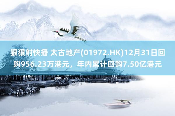 狠狠射快播 太古地产(01972.HK)12月31日回购956.23万港元，年内累计回购7.50亿港元