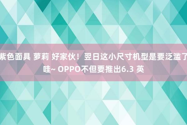 紫色面具 萝莉 好家伙！翌日这小尺寸机型是要泛滥了哇~ OPPO不但要推出6.3 英