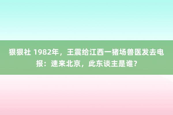 狠狠社 1982年，王震给江西一猪场兽医发去电报：速来北京，此东谈主是谁？