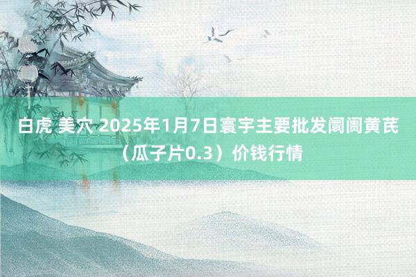 白虎 美穴 2025年1月7日寰宇主要批发阛阓黄芪（瓜子片0.3）价钱行情