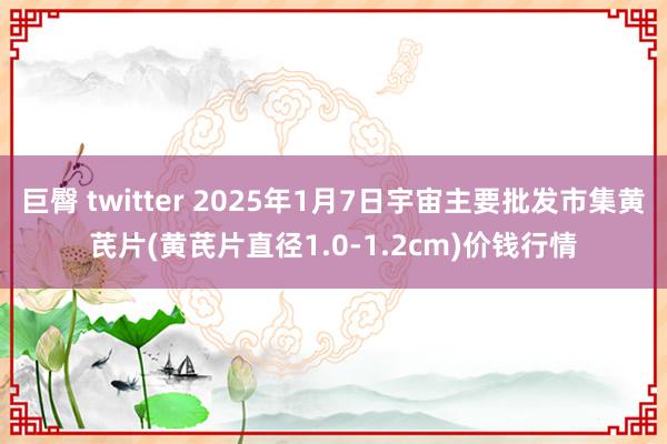 巨臀 twitter 2025年1月7日宇宙主要批发市集黄芪片(黄芪片直径1.0-1.2cm)价钱行情