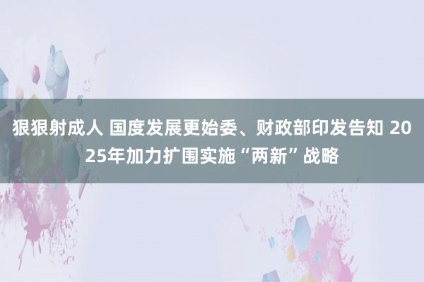 狠狠射成人 国度发展更始委、财政部印发告知 2025年加力扩围实施“两新”战略