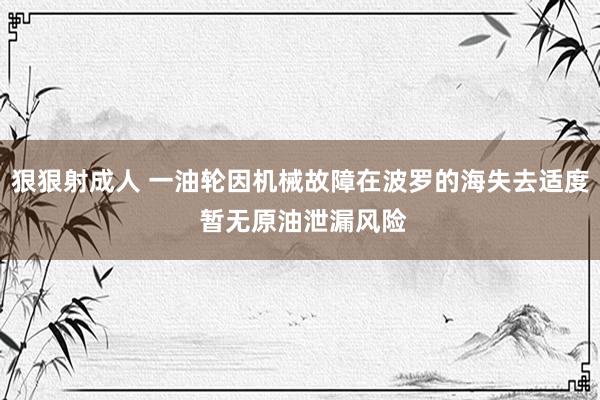 狠狠射成人 一油轮因机械故障在波罗的海失去适度 暂无原油泄漏风险