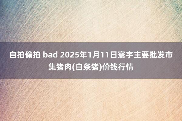 自拍偷拍 bad 2025年1月11日寰宇主要批发市集猪肉(白条猪)价钱行情