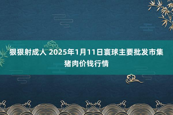 狠狠射成人 2025年1月11日寰球主要批发市集猪肉价钱行情