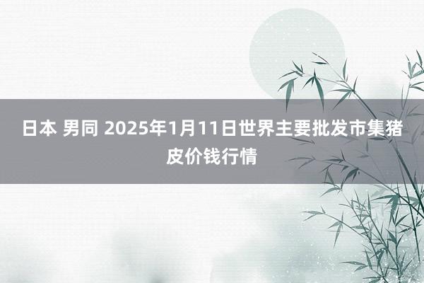 日本 男同 2025年1月11日世界主要批发市集猪皮价钱行情