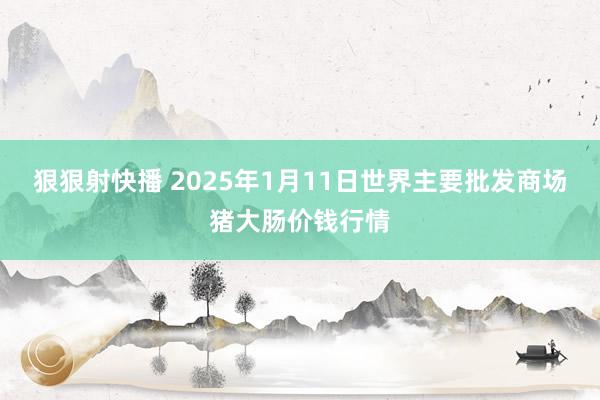 狠狠射快播 2025年1月11日世界主要批发商场猪大肠价钱行情