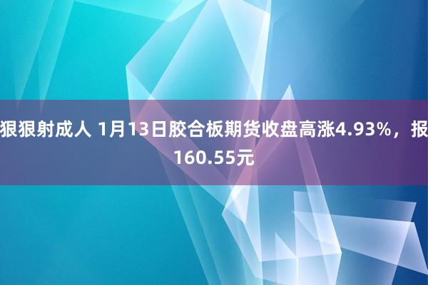 狠狠射成人 1月13日胶合板期货收盘高涨4.93%，报160.55元