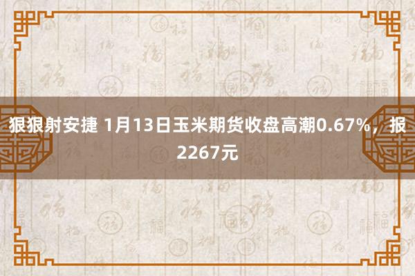 狠狠射安捷 1月13日玉米期货收盘高潮0.67%，报2267元