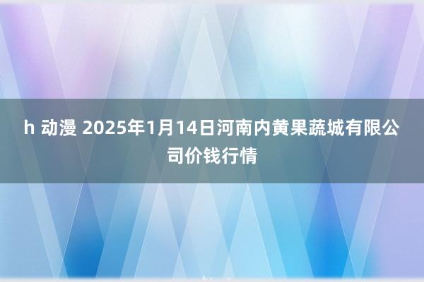 h 动漫 2025年1月14日河南内黄果蔬城有限公司价钱行情