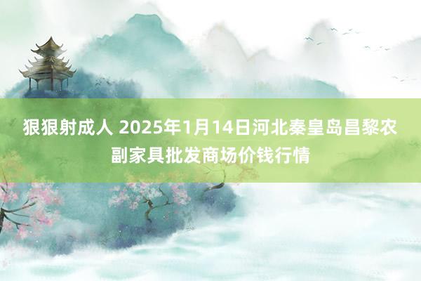 狠狠射成人 2025年1月14日河北秦皇岛昌黎农副家具批发商场价钱行情