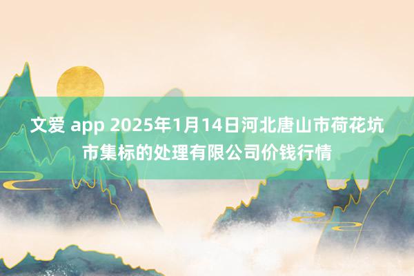 文爱 app 2025年1月14日河北唐山市荷花坑市集标的处理有限公司价钱行情