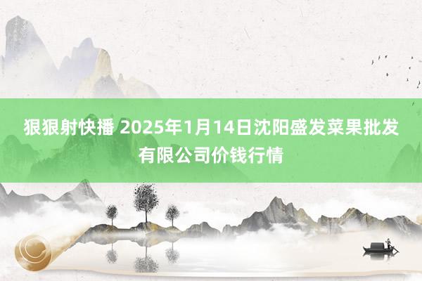 狠狠射快播 2025年1月14日沈阳盛发菜果批发有限公司价钱行情