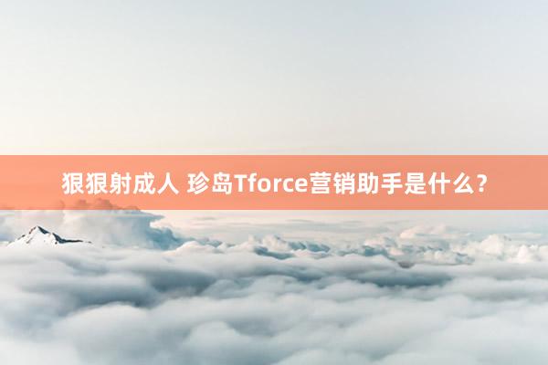 狠狠射成人 珍岛Tforce营销助手是什么？